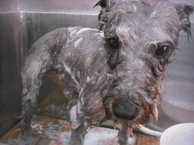 ファイル 3424-1.jpg