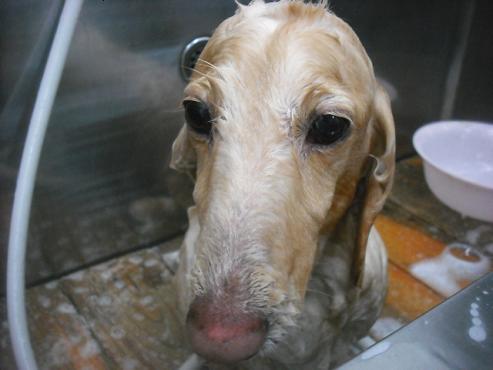 ファイル 3428-1.jpg