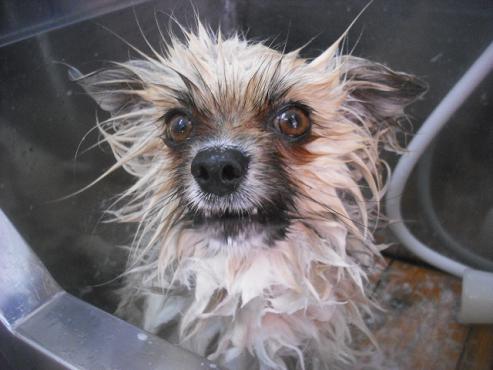 ファイル 3429-1.jpg