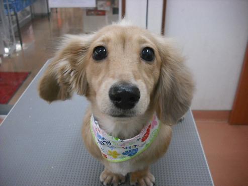 ファイル 343-1.jpg