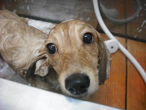 ファイル 343-3.jpg