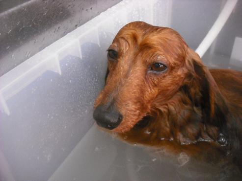 ファイル 3430-1.jpg