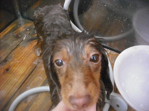 ファイル 3431-1.jpg