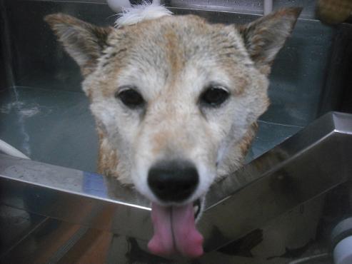 ファイル 3437-2.jpg