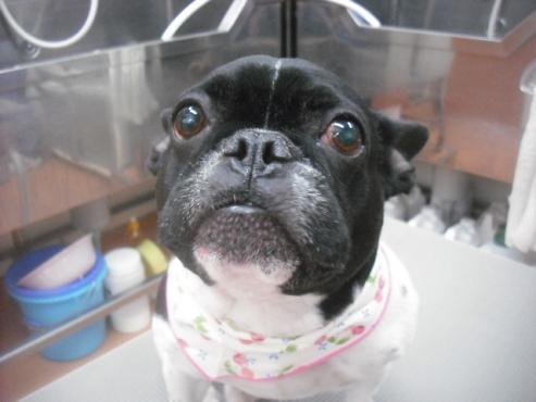 ファイル 3438-1.jpg