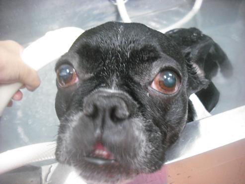 ファイル 3438-2.jpg