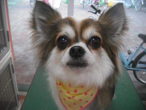 ファイル 3439-1.jpg