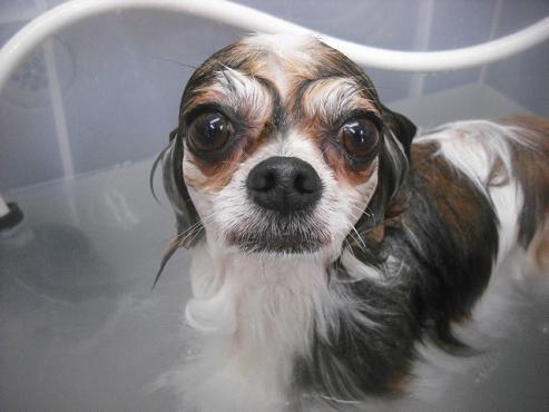 ファイル 3439-2.jpg