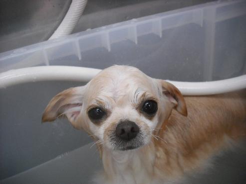 ファイル 3440-1.jpg