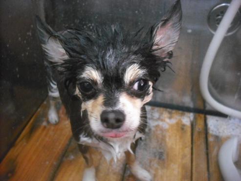 ファイル 3442-2.jpg