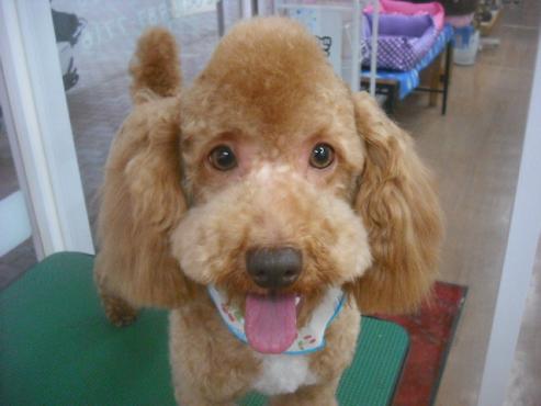 ファイル 3443-1.jpg