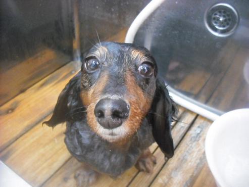 ファイル 3444-2.jpg