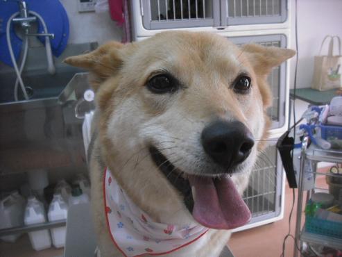 ファイル 3445-1.jpg