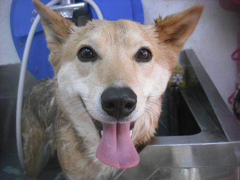 ファイル 3445-2.jpg