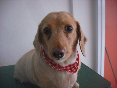 ファイル 3446-1.jpg