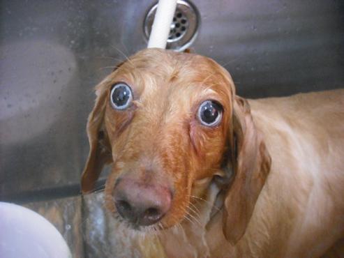 ファイル 3446-2.jpg