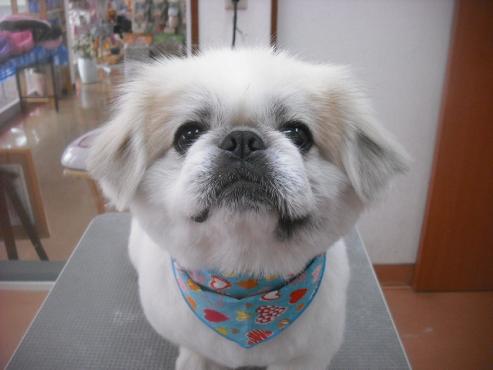 ファイル 3448-1.jpg