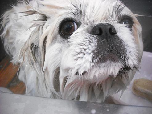 ファイル 3448-2.jpg