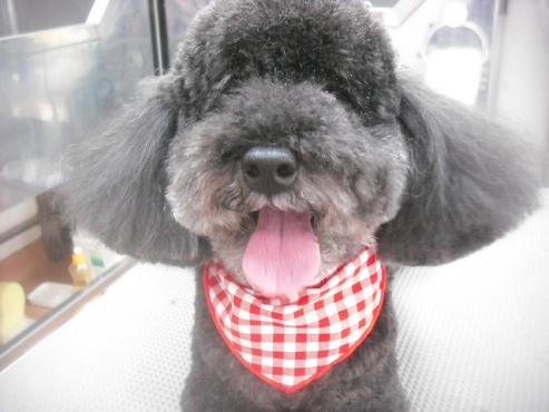 ファイル 3449-1.jpg