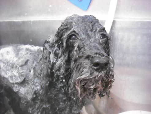 ファイル 3449-2.jpg