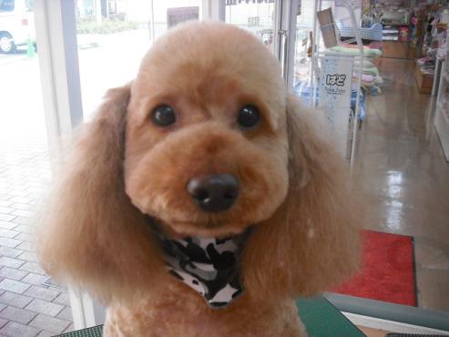 ファイル 345-1.jpg