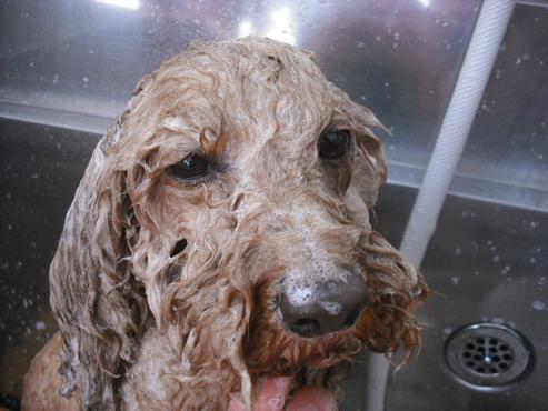 ファイル 345-2.jpg