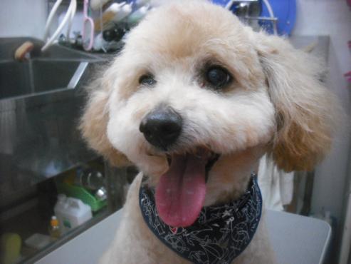 ファイル 3450-1.jpg