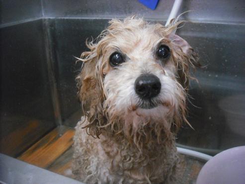 ファイル 3450-2.jpg