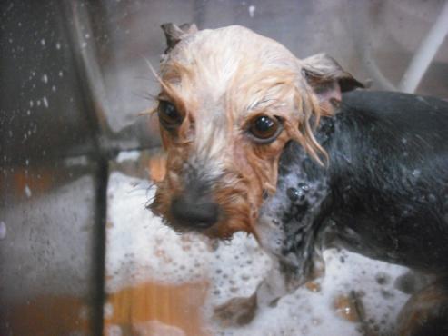 ファイル 3451-2.jpg