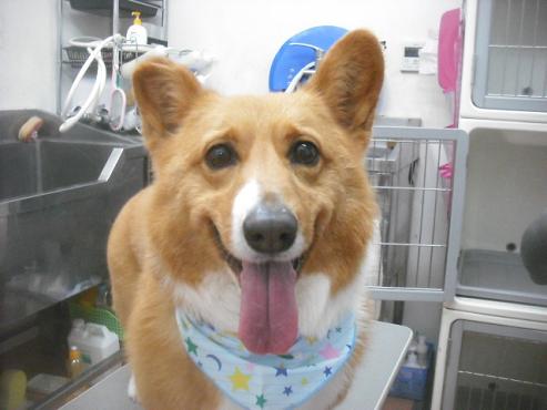 ファイル 3453-1.jpg