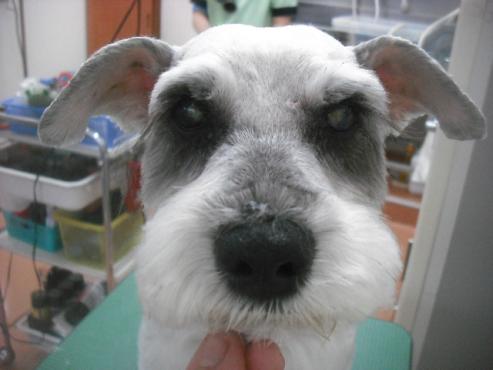 ファイル 3456-1.jpg