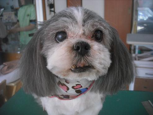 ファイル 3457-1.jpg