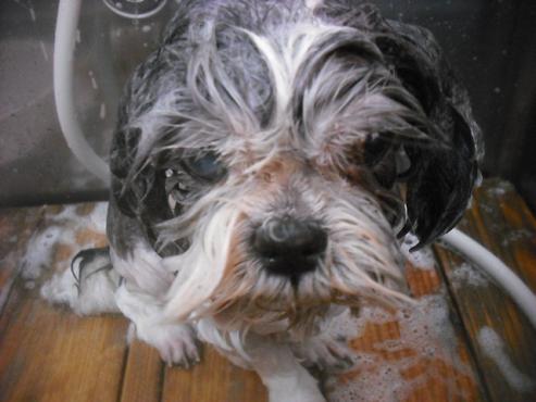 ファイル 3457-2.jpg