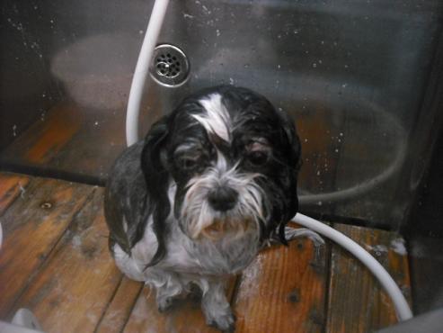 ファイル 3458-2.jpg