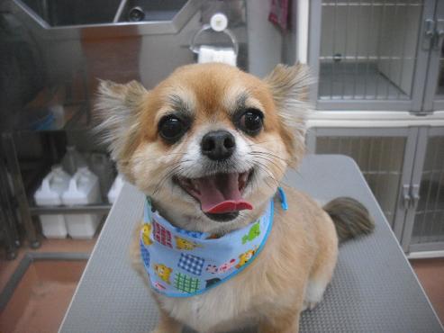 ファイル 3459-1.jpg