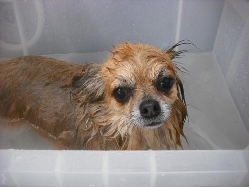 ファイル 3459-2.jpg