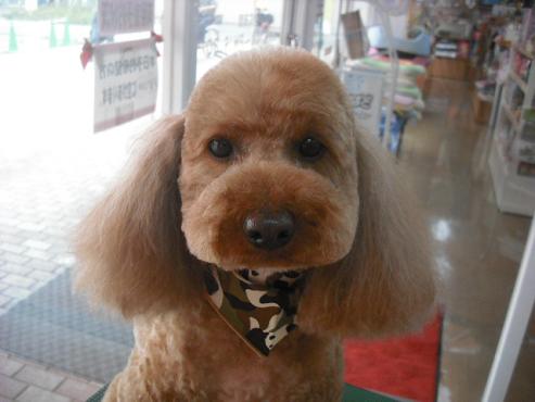 ファイル 346-2.jpg