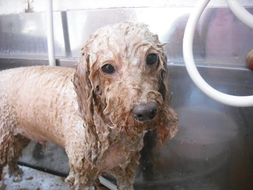 ファイル 346-3.jpg