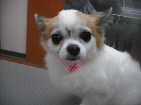 ファイル 3460-1.jpg