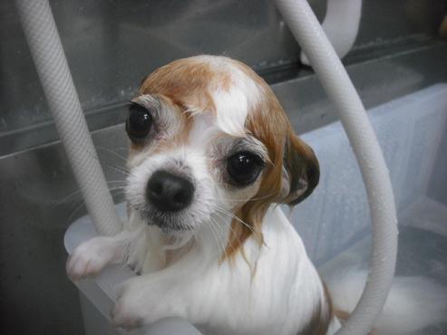 ファイル 3461-2.jpg