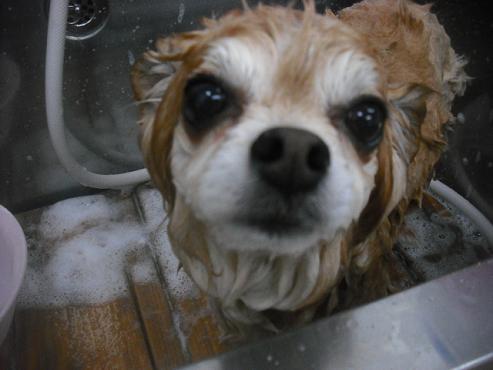 ファイル 3463-2.jpg