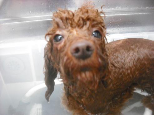 ファイル 3464-2.jpg