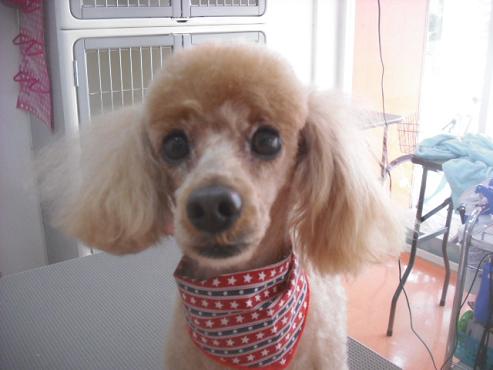 ファイル 3465-1.jpg