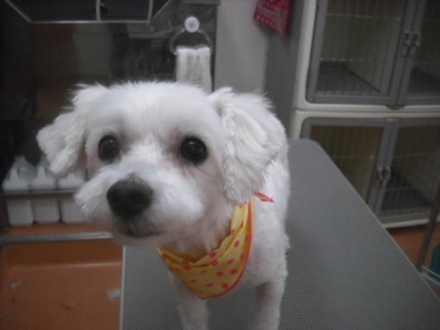 ファイル 3466-1.jpg