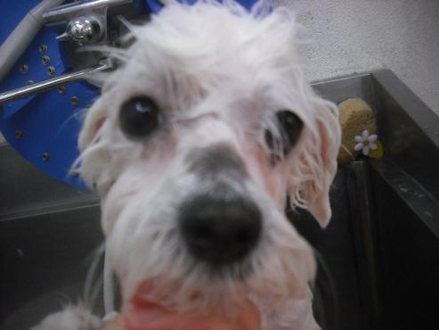 ファイル 3466-2.jpg