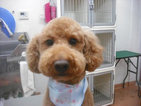 ファイル 3467-1.jpg