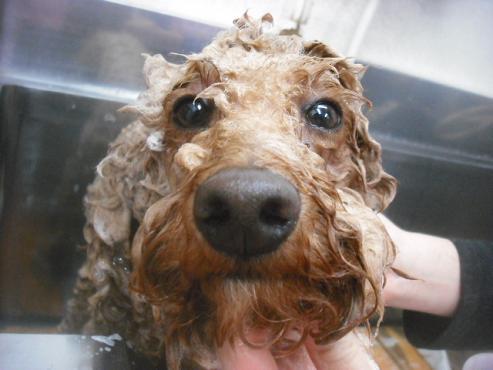 ファイル 3467-2.jpg