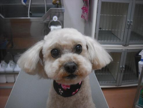 ファイル 3468-1.jpg