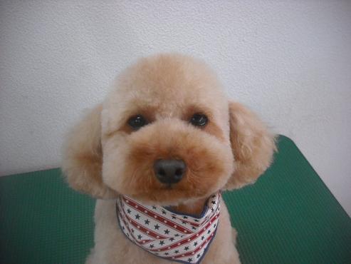 ファイル 3469-1.jpg