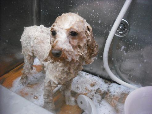 ファイル 3469-2.jpg